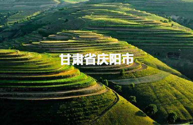慶陽市人大常委會(huì)履職平臺(tái)