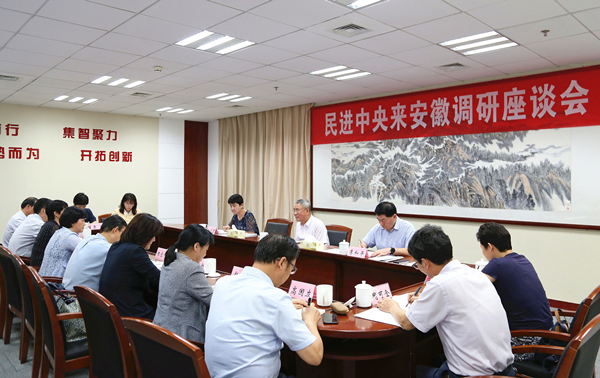 蔡達(dá)峰在安徽開展主題教育和主題年工作調(diào)研